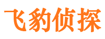 雁塔侦探公司